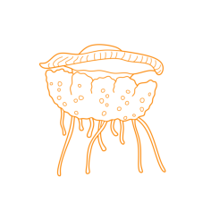Animals Jellyfish Fried Egg Jellyfish Contour Svg Vector, Free Vectors File